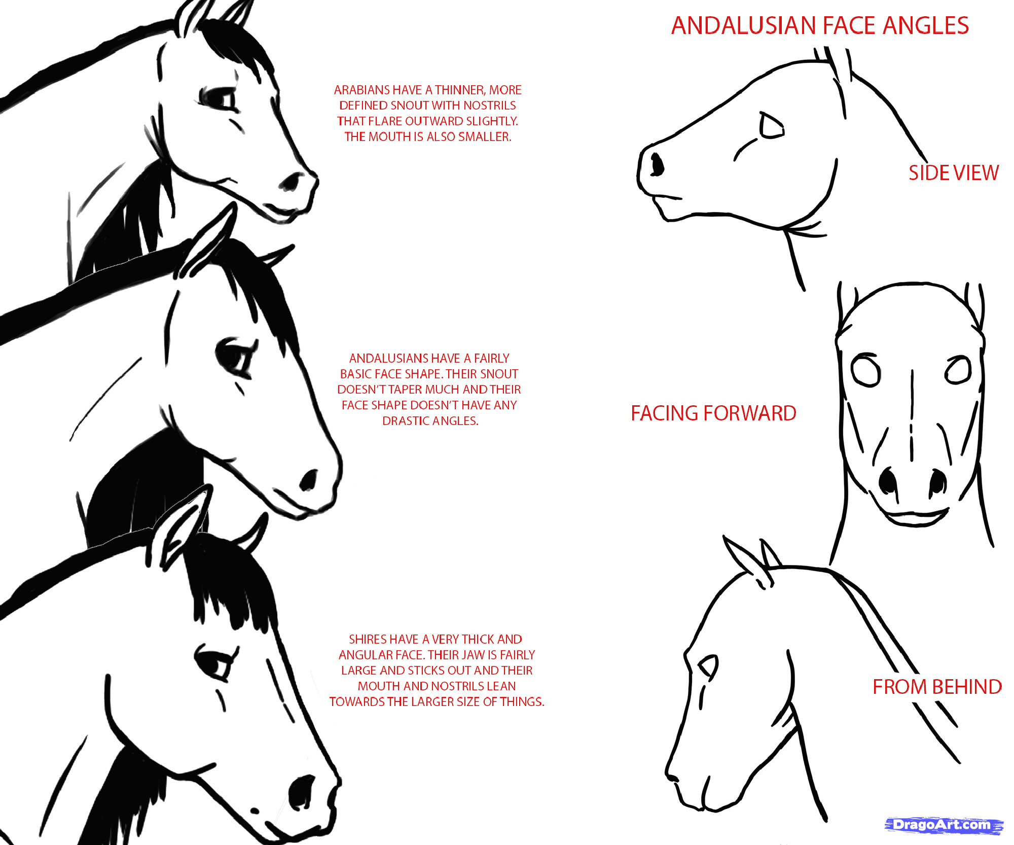 how to draw anime horses step 2 1 000000126225 5 gif 2000a 1666