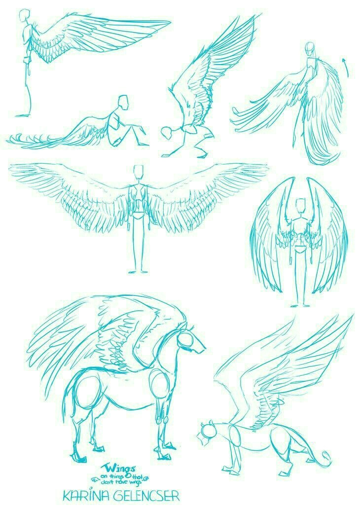 how to draw horses how to draw angels how to draw wings how