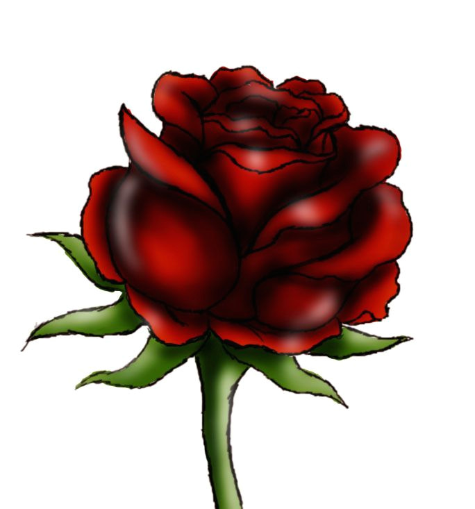 how to draw a beautiful rose