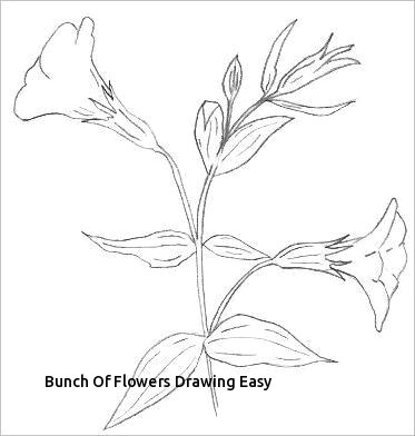 bunch flowers drawing easy s s media cache ak0 pinimg originals 0d 1d 64 flowers drawing