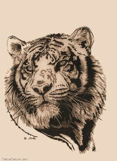 tiger tattoos 12092 tiger tattoos free download tattoo 27658