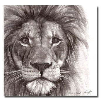 Drawing A Big Cat Head Best Pencil Drawing Of A Lion Google Search Art In 2018