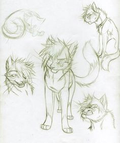 kasarawolf google search warrior cat drawings warrior cats cat reference claws