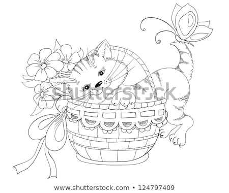 vector hand drawing kitty and bouquet of flowers in basket