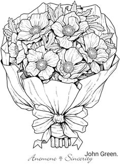 bunch of anemones natalie capps a flower line drawings