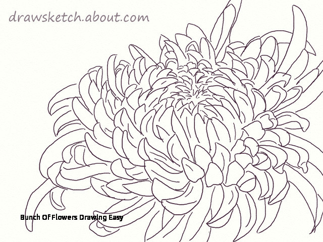 bunch of flowers drawing easy learn how to draw an ogiku chrysanthemum bloom