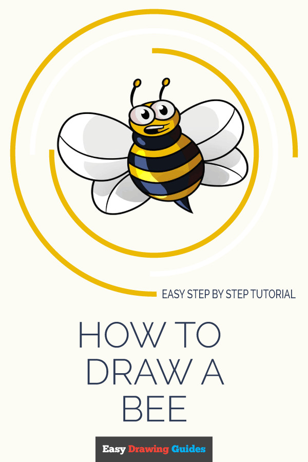 learn how to draw cartoon bee easy step by step drawing tutorial for