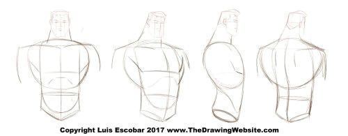 cartoon body formulas the drawing website