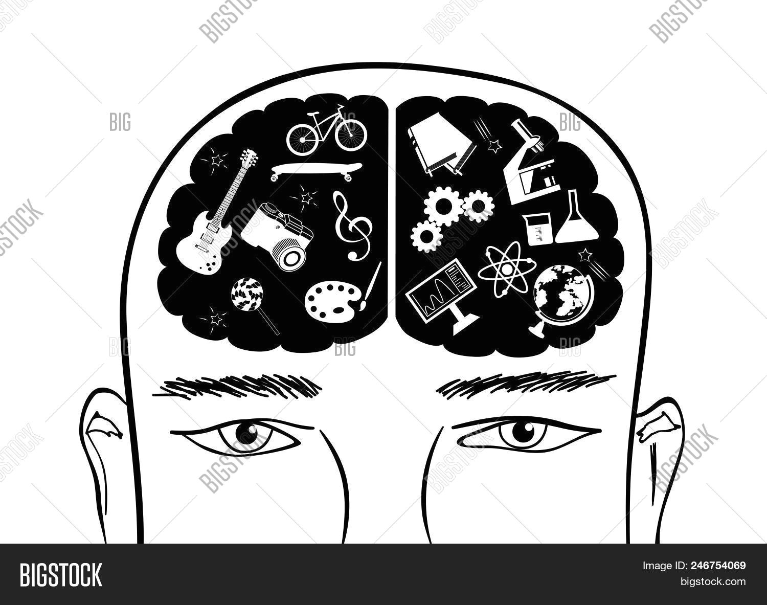 hand drawn head of man with right and left cerebral hemispheres of brain abstract concept