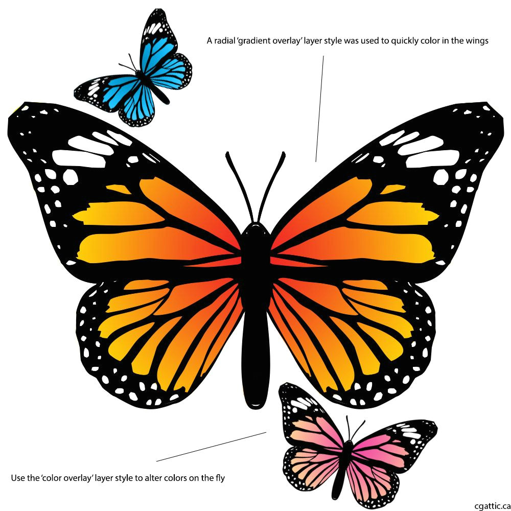 butterfly cartoon drawing step 4 use colors and layer styles to alter the composition