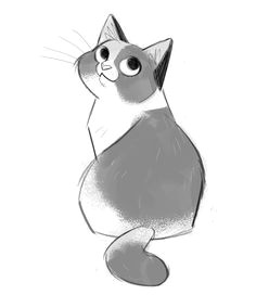 daily cat drawings