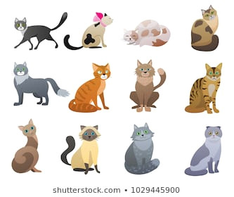 vector funny and cute cartoon cat different breeds pet characters set