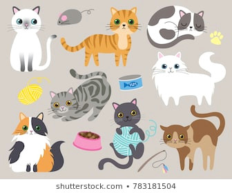 cute kitty cat vector illustration set with different cat breeds toys and food