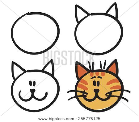 teach your child how to draw the face of a cartoon cat vector