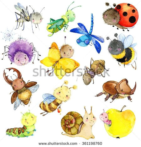 watercolor cartoon insect wasp bee bumblebee butterfly worm caterpillar beetle ladybug grasshopper mosquito dragonfly spider snail