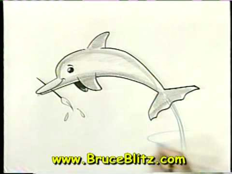 bruce blitz how to draw a dolphin