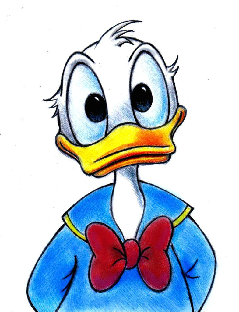 donald duck zeichnung