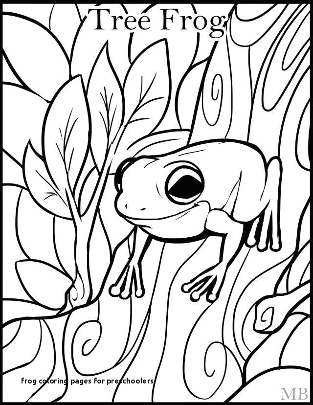 frog coloring pages for preschoolers frog coloring pages fresh frog colouring 0d free coloring pages kids