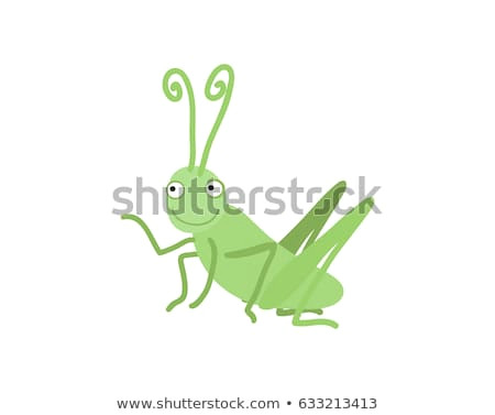 funny grasshopper vector illustration isolated on white background cute insect comic bug smiling