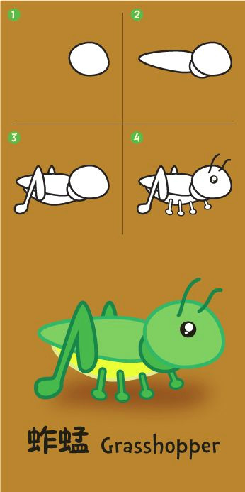 grasshopper grasshopper flashcard grasshoppers painted boxes easy drawings animal drawings story