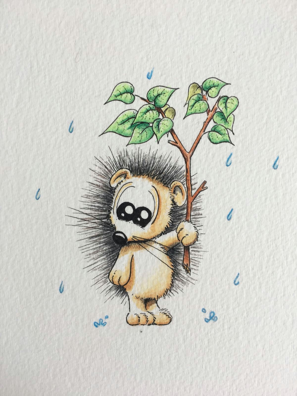 hedgehog illustration apredart drawings rain animals cute