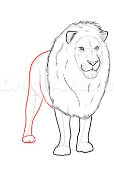 Drawing A Cartoon Lion How to Draw A Cartoon Lion Step by Step Drawing Tutorials for Kids