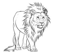 Drawing A Cartoon Lion How to Draw A Cartoon Lion Step by Step Drawing Tutorials for Kids