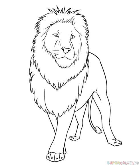 Drawing A Cartoon Lion How to Draw A Cartoon Lion Step by Step Drawing Tutorials for Kids