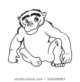 monkey cartoon vector illustration