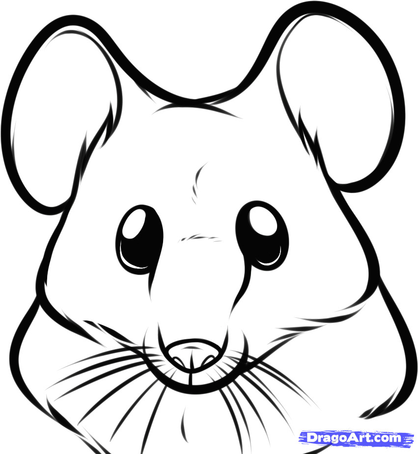how to draw a mouse face step 5