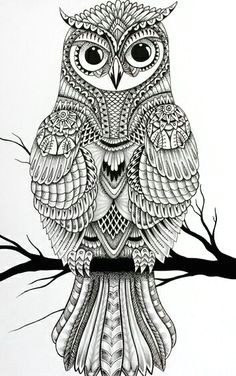 owl adult coloring owl coloring pages mandala coloring pages coloring sheets coloring books