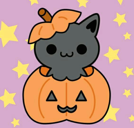 kitty in pumpkin