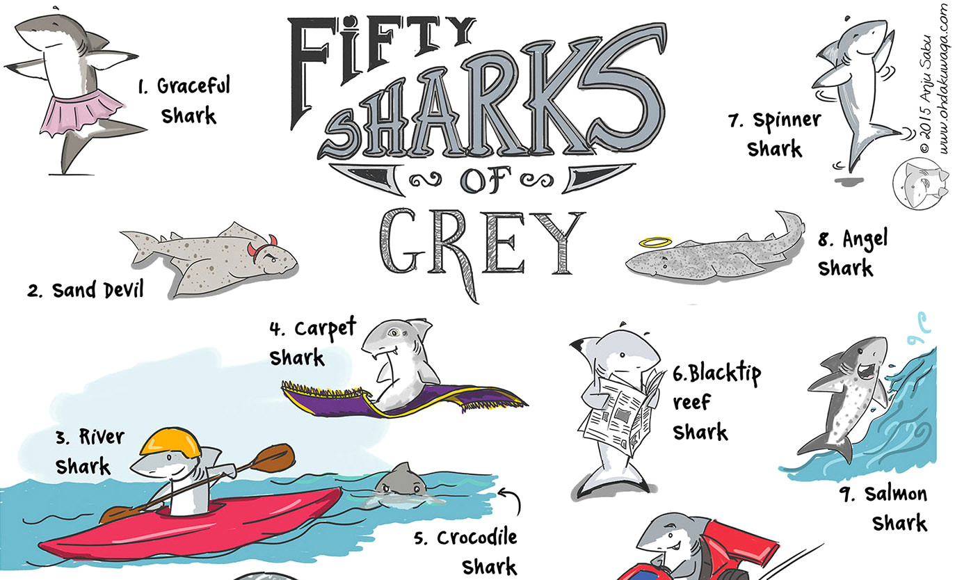 grey sharks