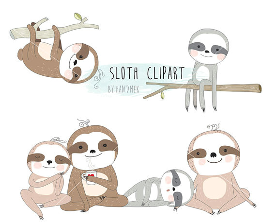 digital image sloths cute sloth filing cute animals spirit animal