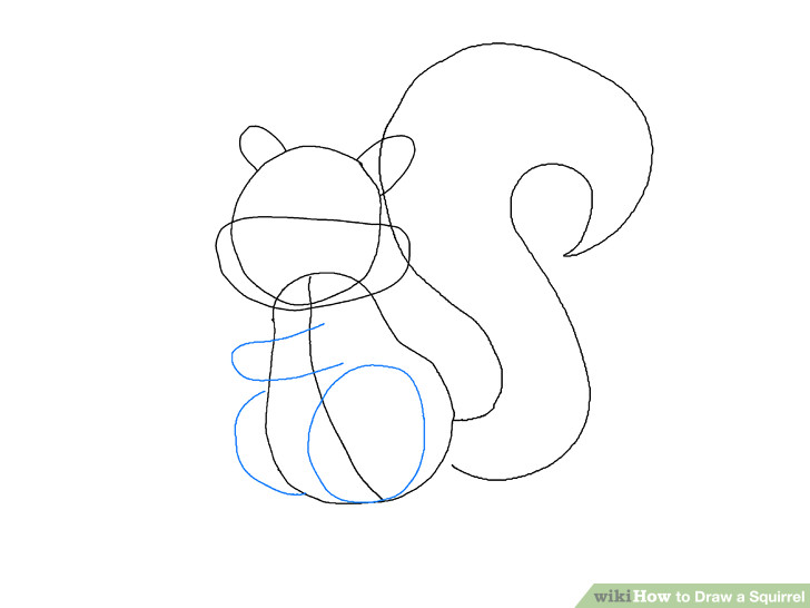 image titled draw a squirrel step 4