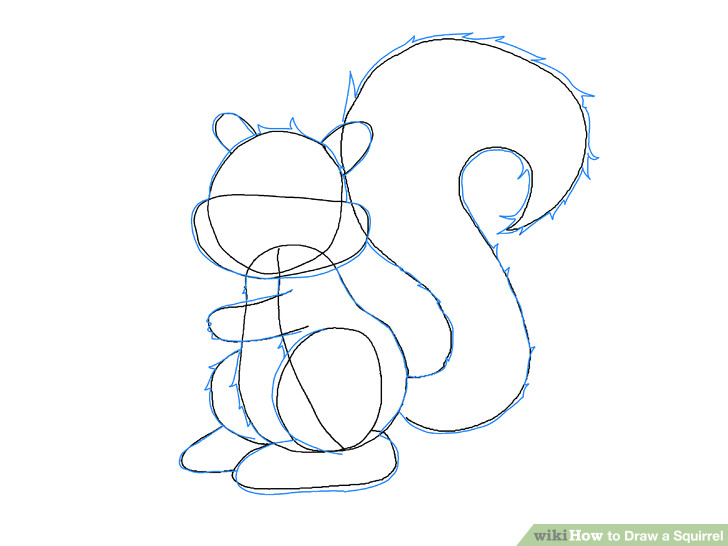 image titled draw a squirrel step 6