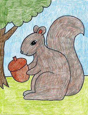 art projects for kids how to draw a squirrel
