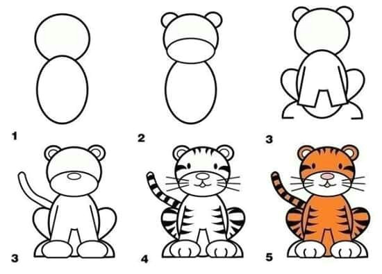 how to draw a tiger