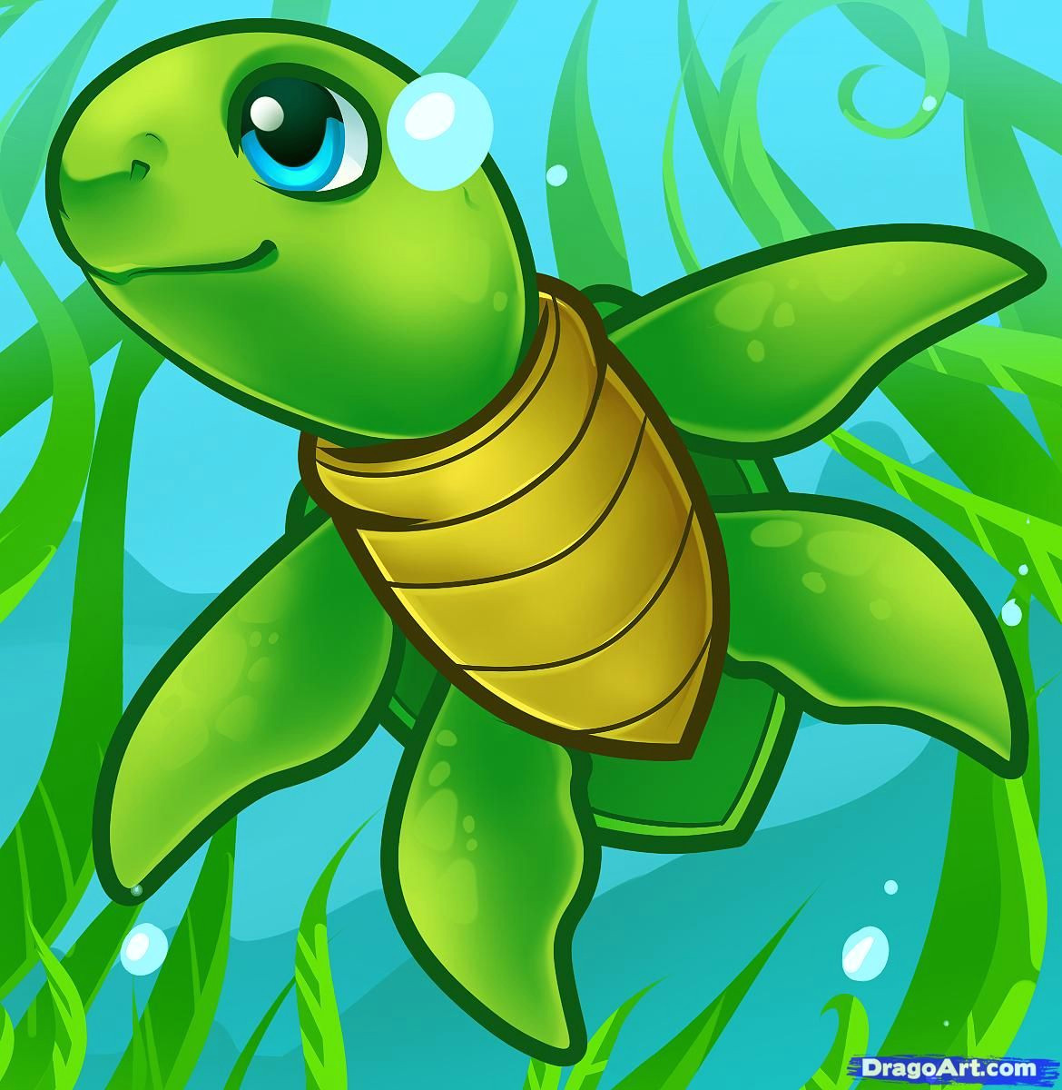 how to draw a sea turtle cartoon sea turtle