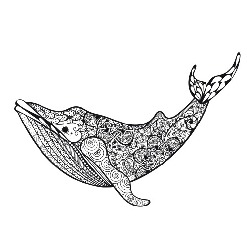 orcas are often called killer whales learn more about killer whale orca and download the killer whale coloring page enjoy