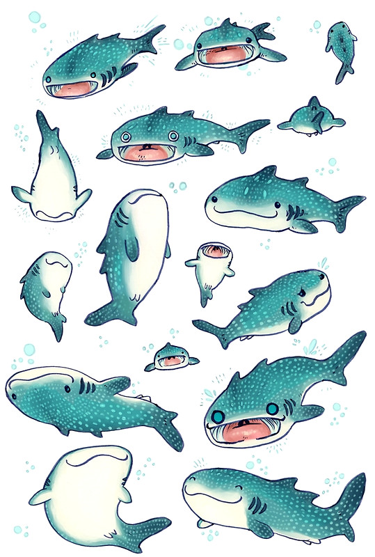 whale sharks by dakshinadeer redbubble