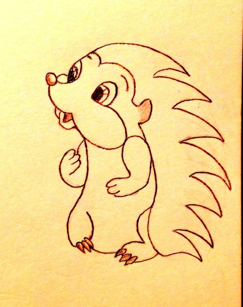 hedgehog drawing cute hedgehog drawing by slapshot2110