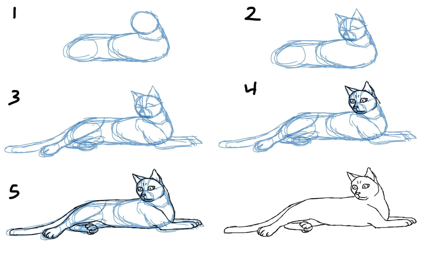how to draw cat bodies in poses savanna williams