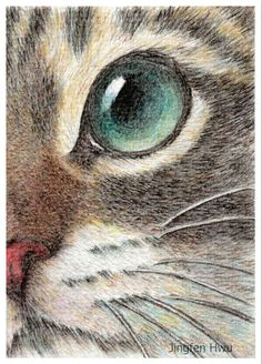 cat art print cat face drawing art print the innocent cat eye of a tabby cat unique cat lover gifts