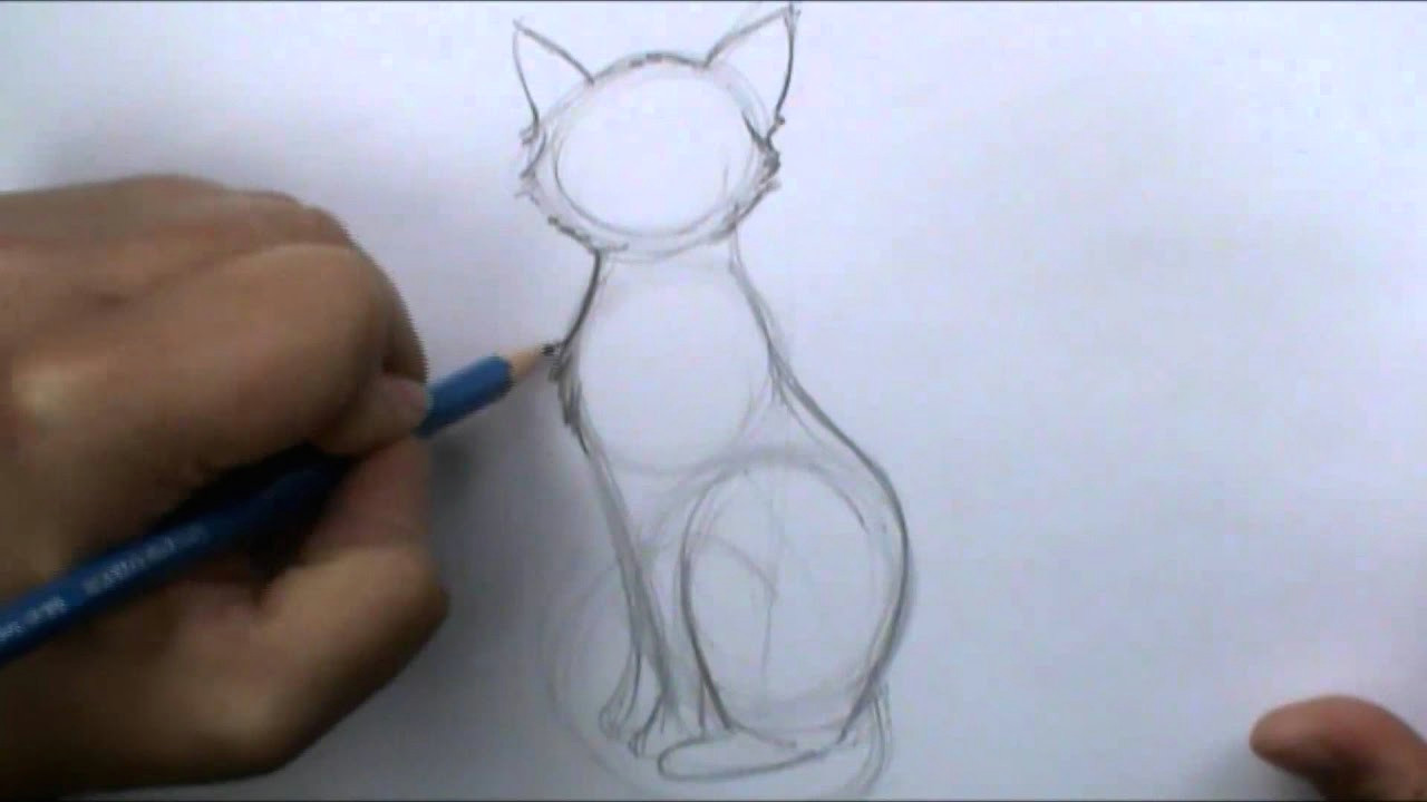 how to draw a basic cat sitting