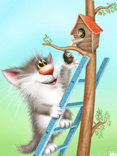 kitten putting a bird back in its birdhouse