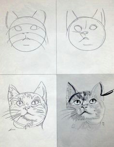 how to draw meow cat cat care for cats at catsincare com