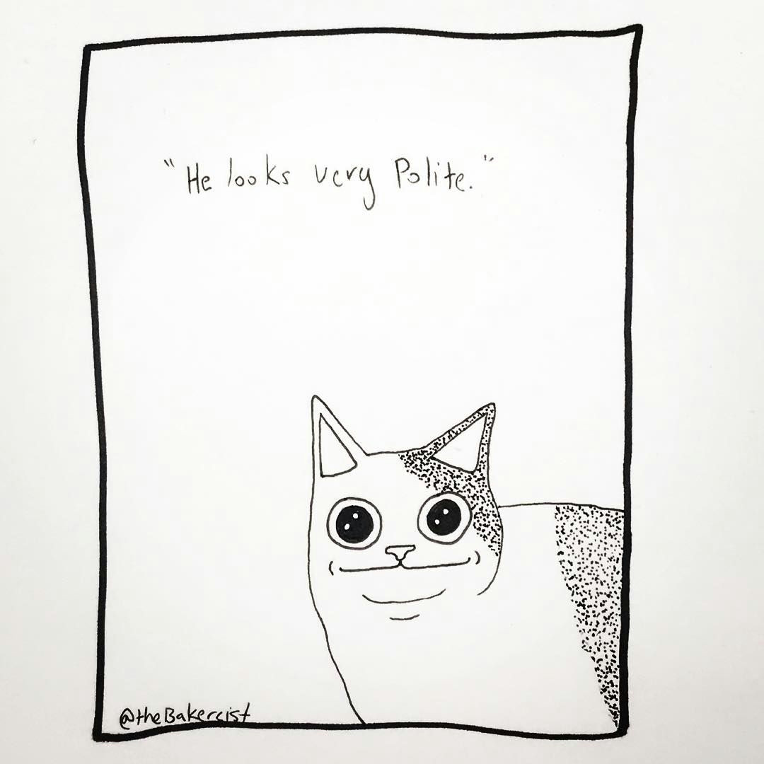 cat cats catmeme meme memes drawing stuffidraw myart catsofinstagram catmemes politecat doodle doodles