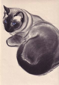 1944 matted large vintage cat print siamese cat by clare turlay newberry black and white blue eyes kitten feline home decor gift idea