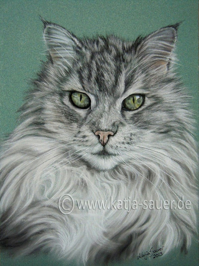 cat paintings and cat portraits in soft pastels animal painting and animal portraits by katja sauer